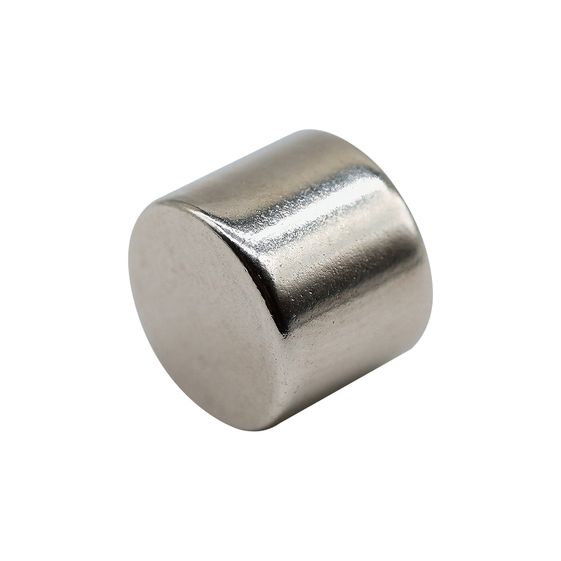 Disc Permanent Magnet/ Round Permanent Magnet 8